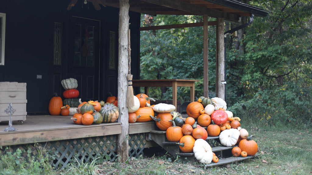 Brimming Harvest