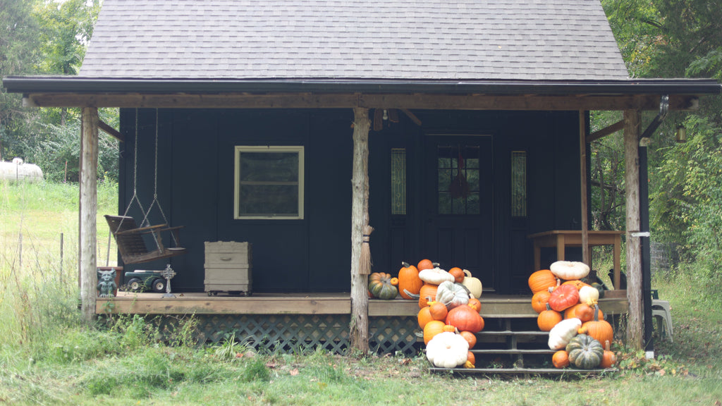 The Autumn Accent