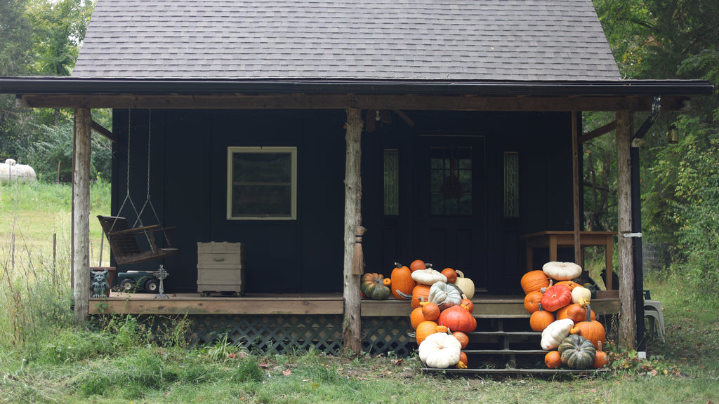 The Autumn Accent