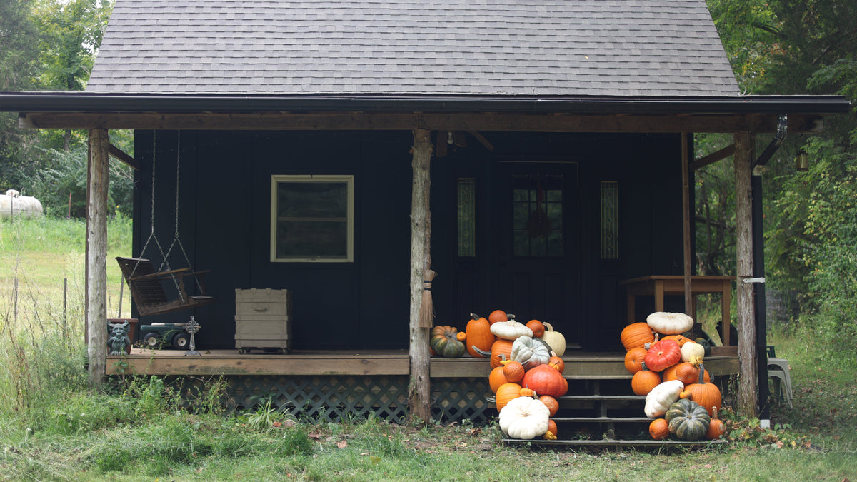The Autumn Accent