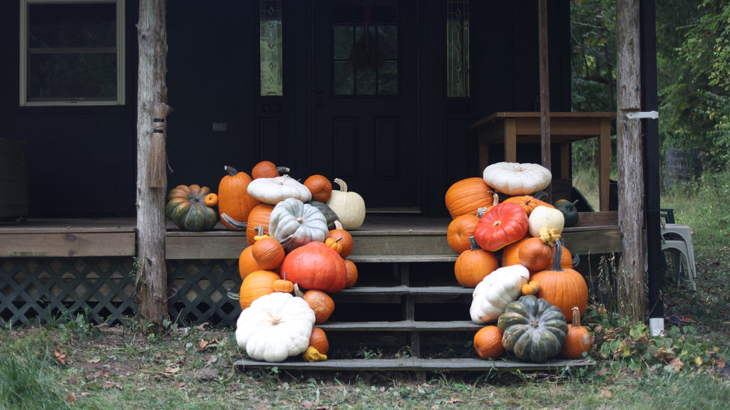 The Autumn Accent