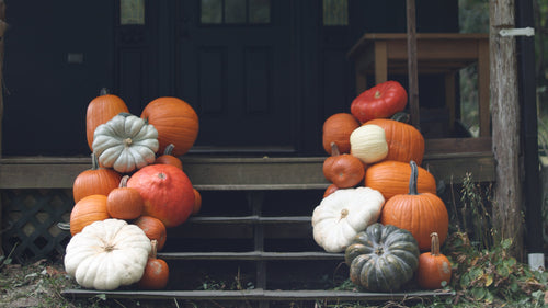 Pumpkin Drop