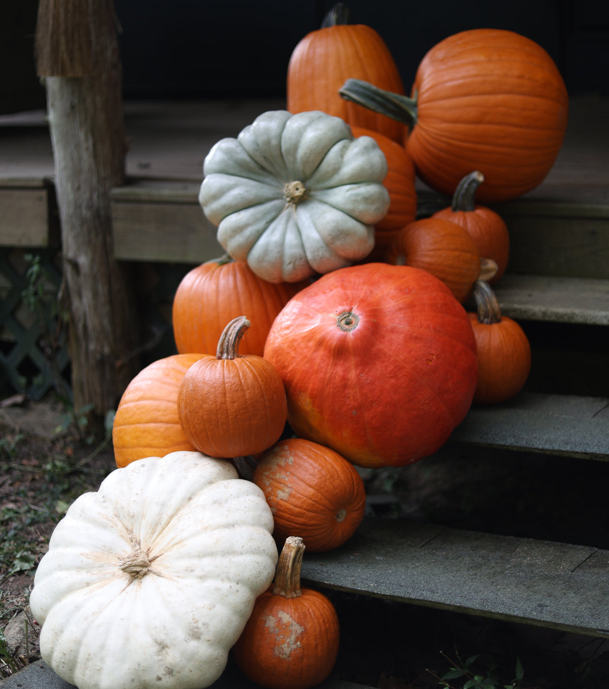 Pumpkin Drop