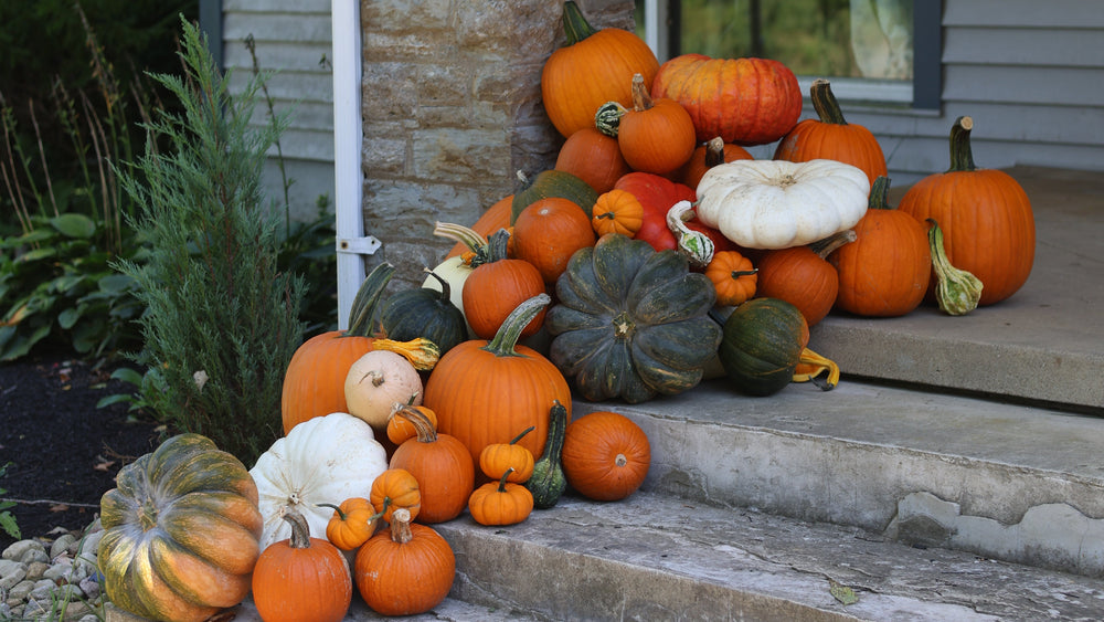 Seasonal porch arrangement
