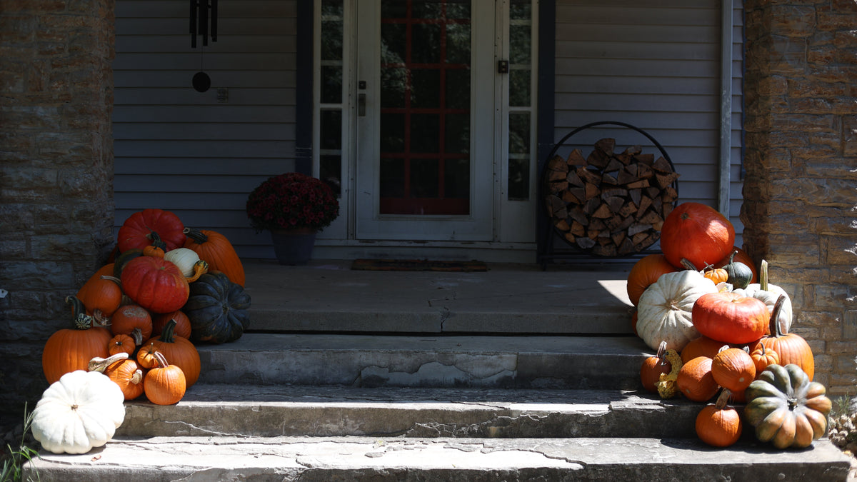 The Autumn Accent