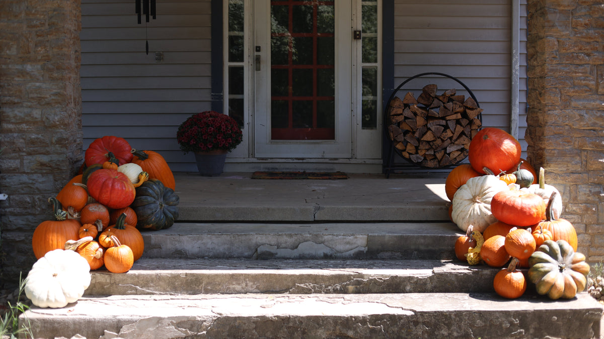 The Autumn Accent