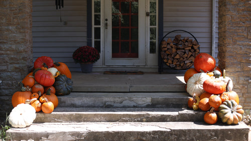 The Autumn Accent