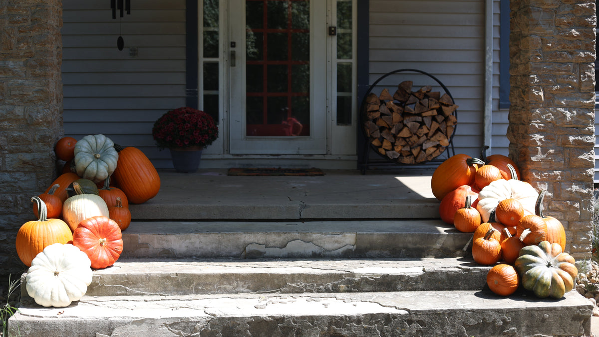 Pumpkin Drop